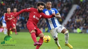 تشكيلة ليفربول ضد برايتون في الدوري الإنجليزي 2025 . لقاء حاسم نحو اللقب1
