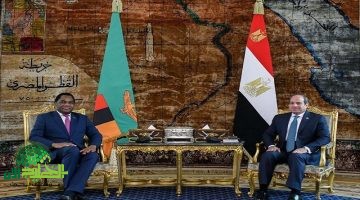 تعزيز العلاقات المصرية الزامبية في إطار التعاون الإفريقي الأوروبي1