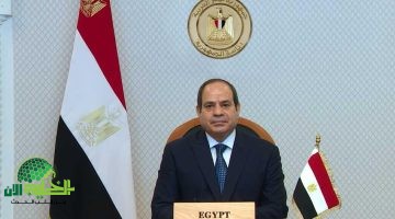 تعزيز العلاقات بين مصر وجزر القمر . السيسي يؤكد عمق الروابط التاريخية2
