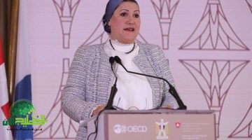 تعزيز الهيكل المؤسسي للمجلس القومي للطفولة . خطوة نحو كفاءة أكبر واحترافية إدارية1