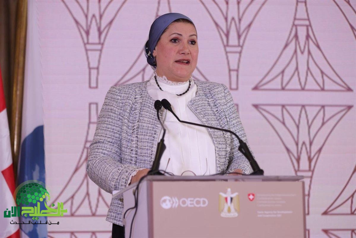 تعزيز الهيكل المؤسسي للمجلس القومي للطفولة .. خطوة نحو كفاءة أكبر واحترافية إدارية(1)