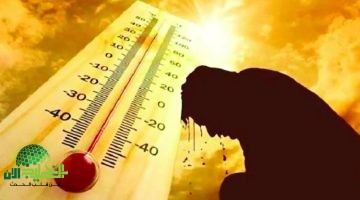 تنبيهات الأرصاد الجوية . موجة حر شديدة تبلغ ذروتها في القاهرة