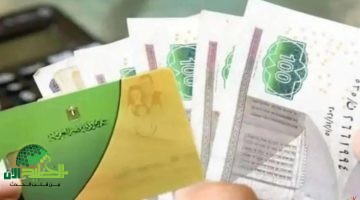 توزيع مستحقات التموين مايو 2025. كل ما تحتاج معرفته عن الصرف والاستلام