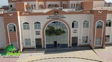 جامعة طيبة تعلن عن فرص وظيفية لأعضاء هيئة التدريس كل التفاصيل والشروط