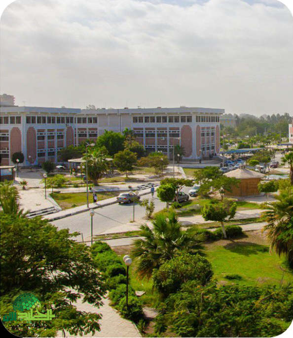 جامعة قناة السويس تعزز كفاءة الجهاز الإداري بكلية التربية عبر دورة تدريبية متخصصة