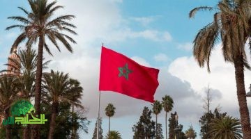 جدول العطل المدرسية 2025 في المغرب. تحديث رسمي من وزارة التربية الوطنية