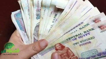 جدول المعاشات 2025 في مصر. زيادات جديدة ودخل مضمون يطمئن المتقاعدين