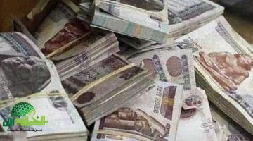جدول المعاشات 2025. زيادة مالية تصل إلى 15 لتحسين مستوى المعيشة