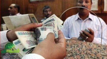 جدول معاشات مايو 2025. بداية شهر بمواعيد ثابتة وخدمات متطورة