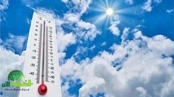 حملة أمنية غير مسبوقة في السعودية تضع حدًا للمخالفات 1 1
