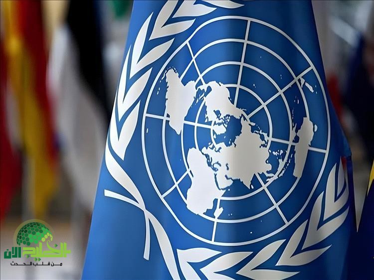 دعوة دولية عاجلة لإنقاذ اليمن من الانهيار الإنساني(1)