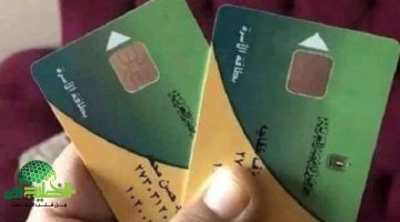 دليلك الكامل لإضافة أفراد التموين عبر بوابة مصر الرقمية 2025 بخطوات سهلة وآمنة