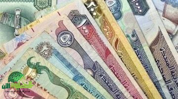 رسمياً. رفع معاش الشيخوخة في الإمارات من 600 إلى 1000 درهم شهريًا – دعم كريم لكبار السن بدون دخل