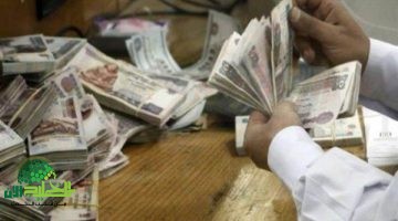 رسمياً. زيادة المعاشات 2025 في مصر تبدأ يوليو المقبل بنسبة 15 وفقاً للقانون