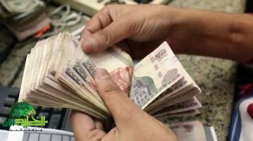 رسميًا. صرف العلاوات الخمسة لأصحاب المعاشات في مايو 2025. دفعة جديدة من الإنصاف المالي