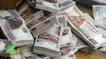 زيادة المعاشات 2025. خطوة حكومية تعيد الأمل وترفع مستوى المعيشة