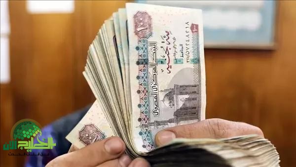زيادة المعاشات 2025.. خطوة حكومية تعيد الأمل وترفع مستوى المعيشة