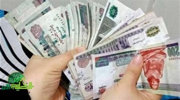 زيادة المعاشات 2025.الحكومة المصرية تعلن عن قرار تاريخي بنسبة 15