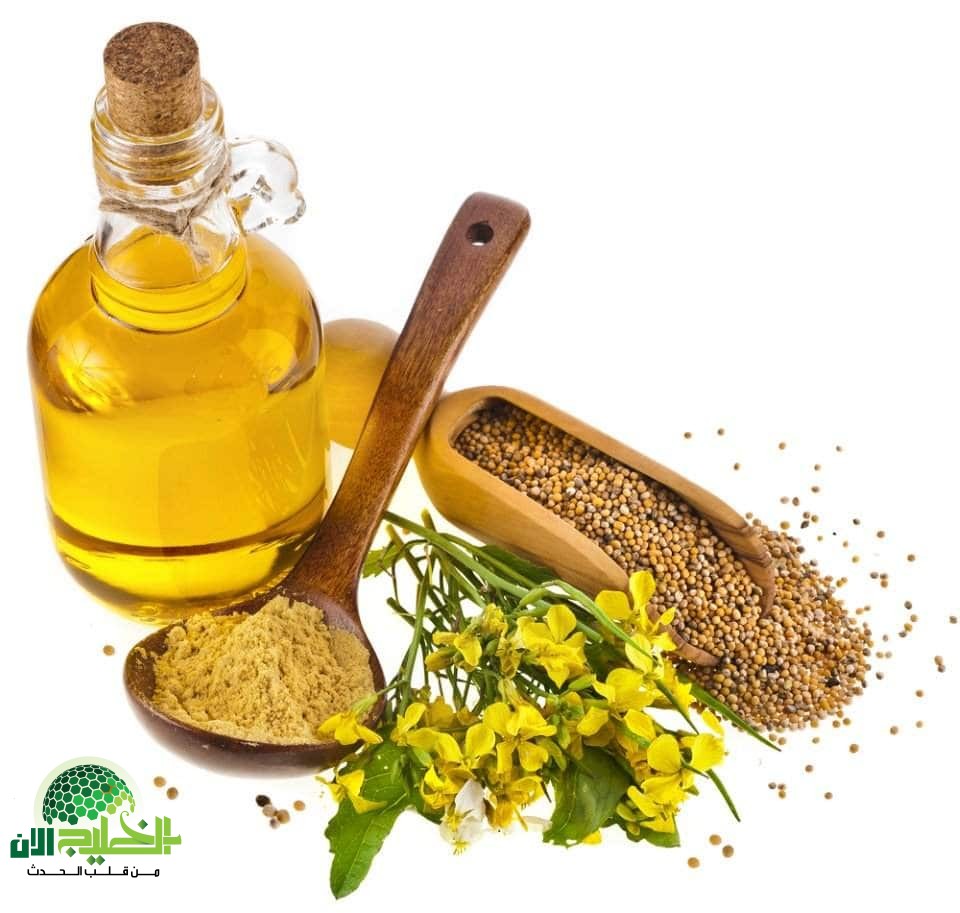 زيت الخردل مع حبة البركة