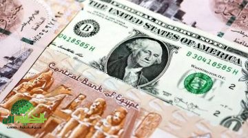 سعر الدولار في مصر اليوم الجمعة 9 مايو 2025 استقرار نسبي رغم الترقب