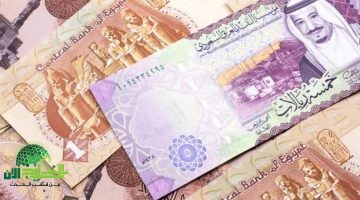 سعر الريال السعودي اليوم. استقرار ملحوظ رغم توقعات الاقتراب من 14 جنيهًا 2