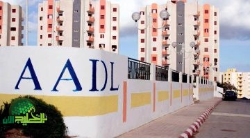 سكنات عدل 3 الجزائر 2025. خطوات الاستعلام عن المقبولين والفئات المستبعدة رسميًا