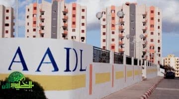 سكنات عدل الدفعة الثانية. خطوات الاستعلام عن الأسماء المقبولة وشروط القبول