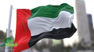 سلم رواتب الموظفين الجدد في الحكومة الاتحادية الإماراتية 2025. نظام متطور لتحفيز الكفاءات