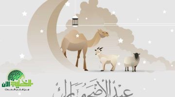 سنن نبوية قبل عيد الأضحي . تعرف عليها1