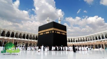 شروط الحج 2025. كل ما تحتاج معرفته عن التطعيمات الإلزامية وإجراءات الحجز الجديدة