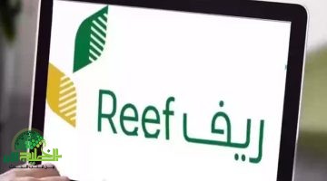 شروط دعم ريف للأسر المنتجة في السعودية 1446. دعم شامل يعزز التنمية الريفية
