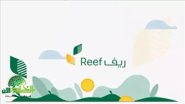 شروط دعم ريف للأسر المنتجة في السعودية 1446.. دعم شامل يعزز التنمية الريفية