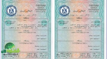 شهادة الميلاد الرقمية في مصر 2025. ثورة في الخدمات الحكومية للأسر الحاضنة