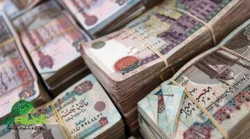صرف العلاوات الخمسة للمتقاعدين في مايو 2025. دعم مالي إضافي دون إعلان مسبق 2