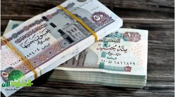 صرف زيادات المعاشات الجديدة يبدأ رسميًا في يوليو 20251