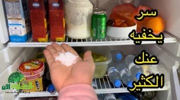 ضعي الملح في الثلاجة وشاهدي الفرق. سر بسيط لمطبخ أنظف وثلاجة خالية من الروائح