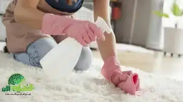 طريقة تنظيف الموكيت في المنزل بخطوات بسيطة. رجعيه جديد من غير شركة تنظيف