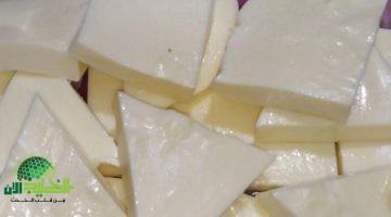 طريقة عمل الجبنة الكيري الكريمية في المنزل. صحية، اقتصادية، ولذيذة