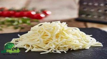 طريقة عمل الجبنة الموتزاريلا في البيت بخطوات سهلة ومكونات اقتصادية
