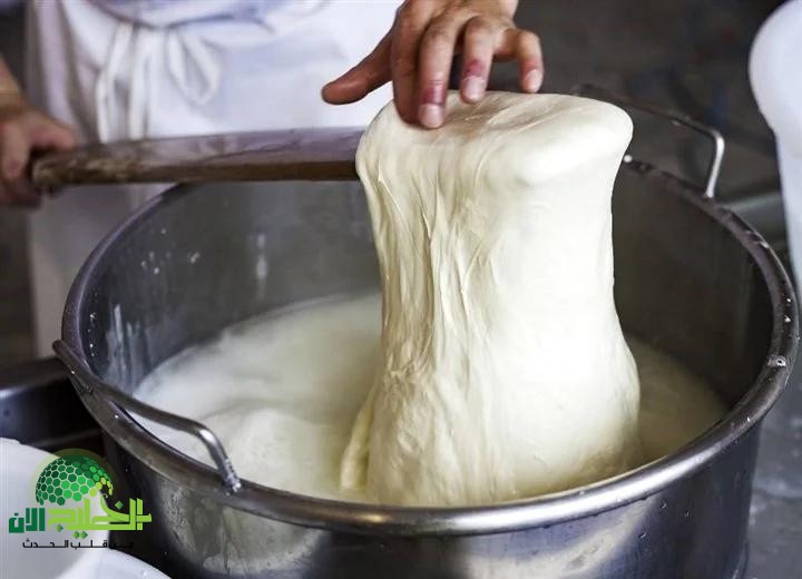 طريقة عمل الجبنة الموتزاريلا في البيت بخطوات سهلة ومكونات اقتصادية