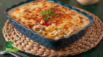 طريقة عمل مكرونة نجرسكو كريمي في المنزل. وصفة مثالية بطعم يتفوق على المطاعم
