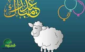 عيد الأضحى 2025 في مصر. مواعيد الإجازة الرسمية وأهم الاستعدادات