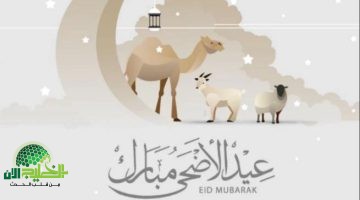 عيد الأضحى 2025. كل ما تريد معرفته عن الموعد الفلكي وتفاصيل الاحتفال