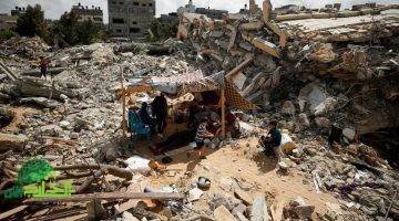 غزة تختنق . كارثة بيئية وصحية تهدد حياة الملايين1