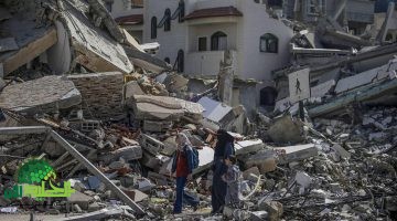 غزة تواجه المجاعة . دعوة دولية عاجلة لوقف الجريمة الإنسانية2