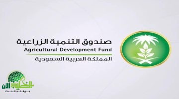 فرص توظيف جديدة في صندوق التنمية الزراعية . وظائف متاحة لحملة البكالوريوس فأعلى في السعودية1