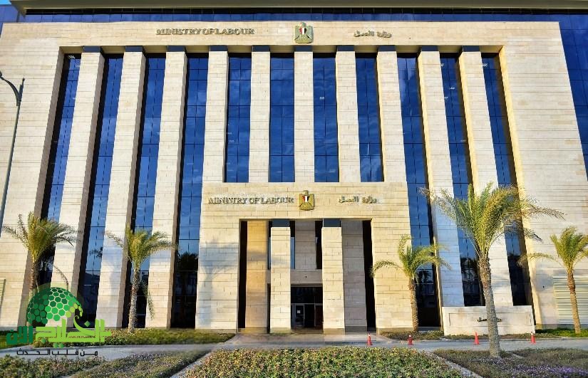 فرص عمل جديدة في الصيدليات برواتب تصل إلى 9400 جنيه .. تفاصيل كاملة(1)