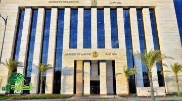 فرص عمل جديدة في الصيدليات برواتب تصل إلى 9400 جنيه . تفاصيل كاملة1