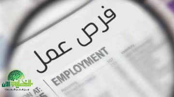 فرص عمل مذهلة في السعودية للمصريين. كل ما تريد معرفته عن الوظائف الجديدة