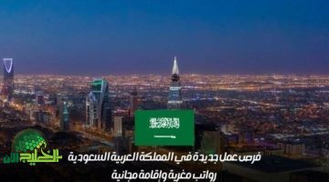 فرص وظيفية استثنائية في السعودية ضمن منظمات دولية. إقامة مجانية ورواتب مغرية للكفاءات المتميزة